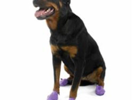 Pawz Dog Boots Large Purple Cheap