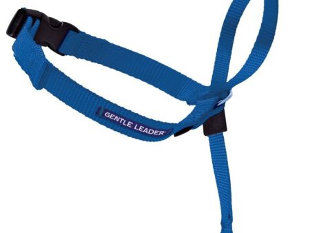 PetSafe Headcollar No-Pull Dog Collar Royal Blue 1ea MD on Sale