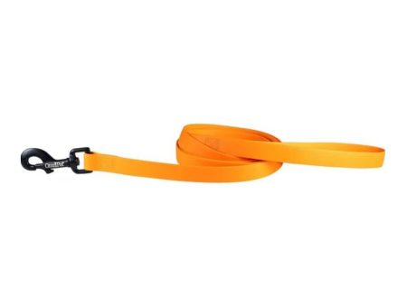 Omni Pet Carnival Biothane Dog Lead Orange 3 4in. x 6ft. Online now