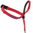 PetSafe Headcollar No-Pull Dog Collar Red 1ea SM For Discount