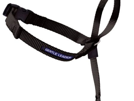 PetSafe Headcollar No-Pull Dog Collar Black 1ea LG Online now