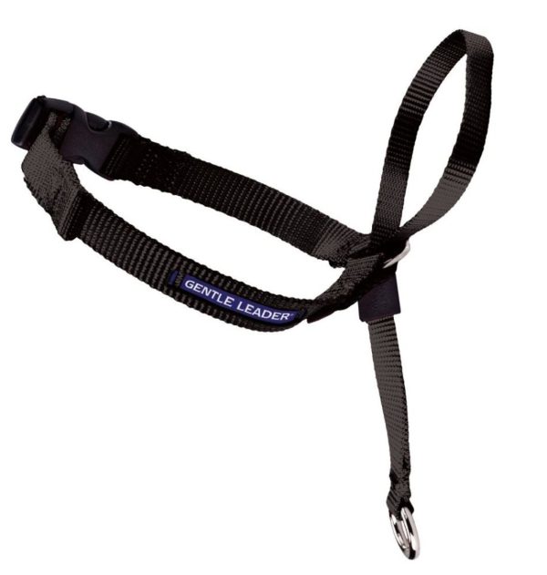 PetSafe Headcollar No-Pull Dog Collar Black 1ea LG Online now