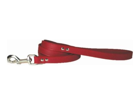 Omni Pet Leather Dog Leash Red  1 2in. x 4ft. Fashion