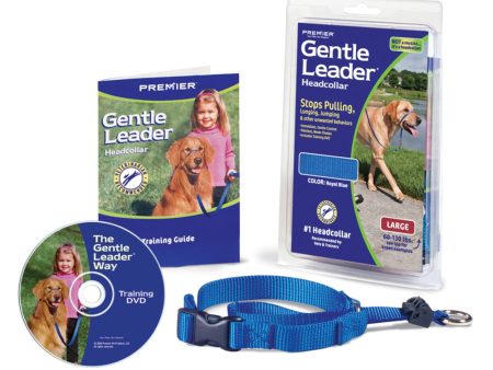 PetSafe Headcollar No-Pull Dog Collar Royal Blue 1ea LG Discount