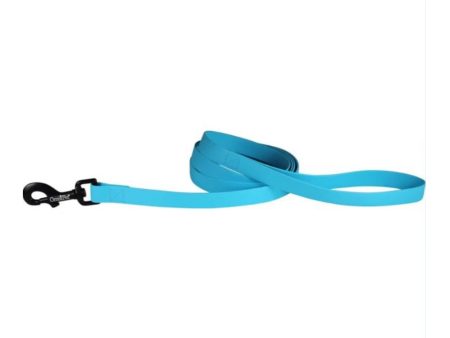 Omni Pet Carnival Biothane Dog Lead Light Blue 3 4in. x 6ft. Online