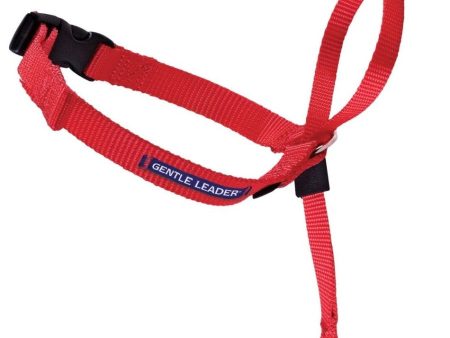 PetSafe Headcollar No-Pull Dog Collar Red 1ea MD Online Sale