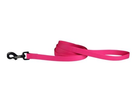 Omni Pet Carnival Biothane Dog Lead Ruby 3 4in. x 6ft. Online now