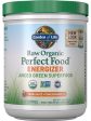 Garden of Life, Raw Organics, Perfect Food Energizer, Yerba Mate Pomegranate, 9.73 oz Fashion