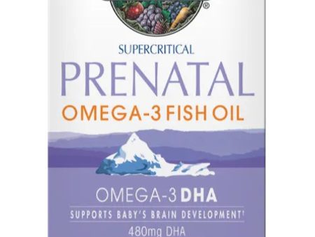 Garden of Life, Minami Prenatal Omega-3 Fish Oil, Lemon, 60 Softgels Hot on Sale