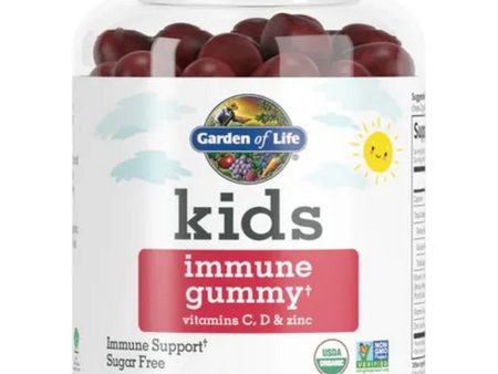 Garden of Life, Kids Immune Gummy Cherry, 60 Gummies Online now