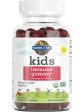 Garden of Life, Kids Immune Gummy Cherry, 60 Gummies Online now