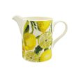 Vegetable Garden Lemons Large Straight Jug For Cheap