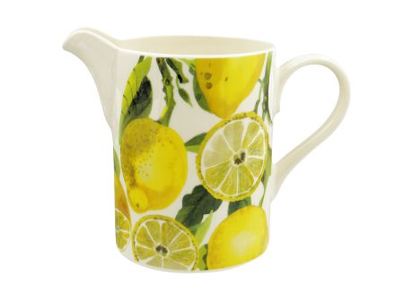 Vegetable Garden Lemons Large Straight Jug For Cheap