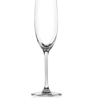 Almost Unbreakable Champagne Flute 2 Sale