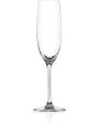 Almost Unbreakable Champagne Flute 2 Sale