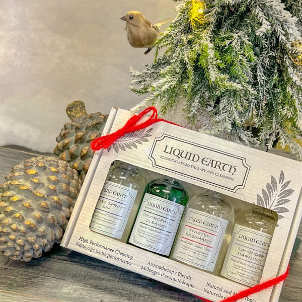 Liquid Earth Gift Pack For Sale