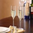 Almost Unbreakable Champagne Flute 2 Sale