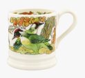 Green Woodpecker & Red Squirrel 1 2 Pint Mug Sale